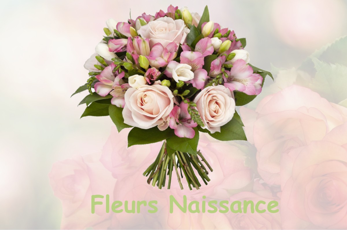 fleurs naissance REVEST-LES-ROCHES