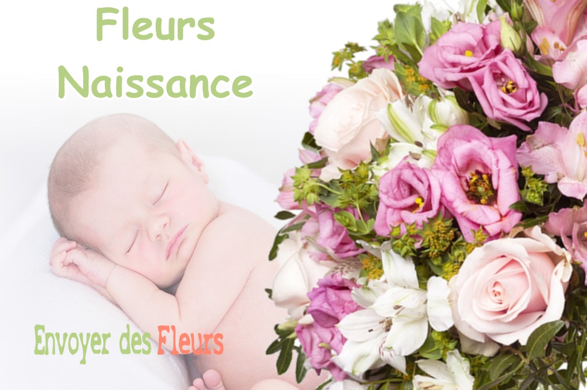 lIVRAISON FLEURS NAISSANCE à REVEST-LES-ROCHES